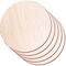 5 Pieces Round Wood Discs for Crafts, Audab 14 Inch Wood Circles Unfinished Wood Rounds Plaque for Door Hanger, Door Design, Wood Burning